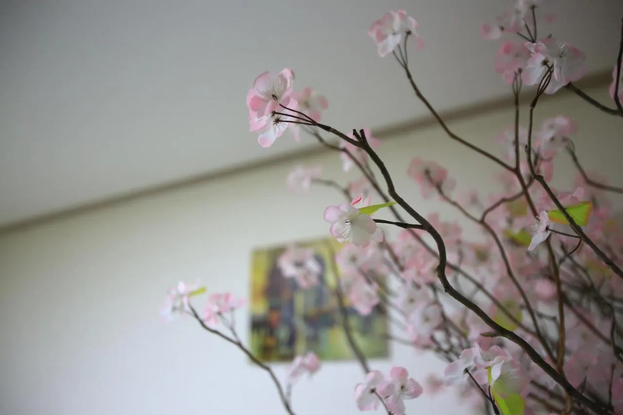 Hostel Peanut Hotel Seoul South Korea